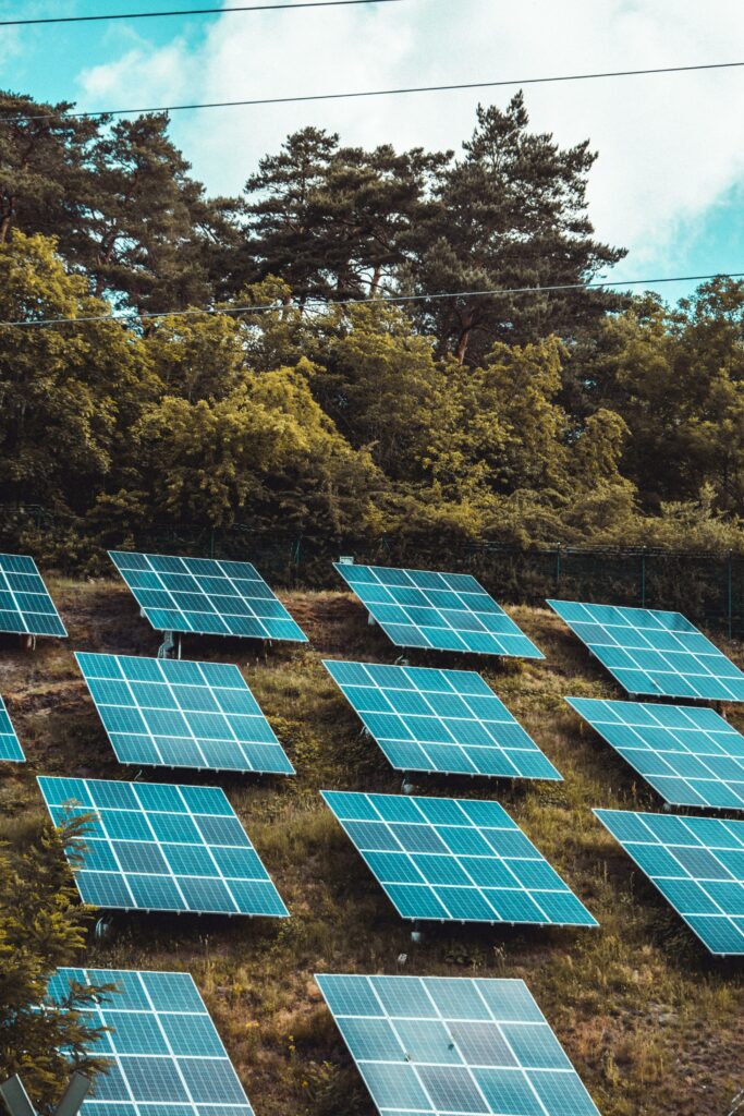 AMPL in Energy