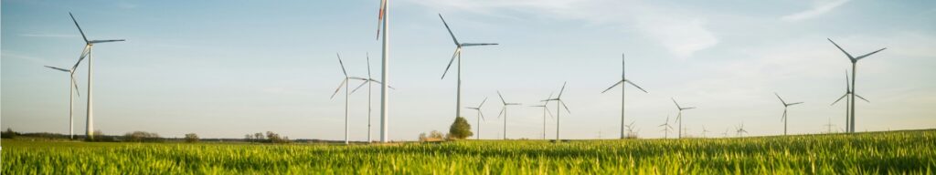 Python for industries represented by field with wind turbines